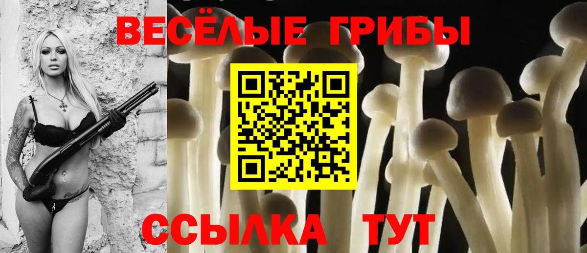 Галлюциногенные грибы MAGIC MUSHROOMS  Вход с VPN  Галлюциногенные грибы прущие грибы  Гудермес 